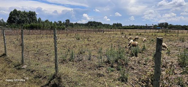 Prime Plot for Sale in Royalton Annex Eldoret - thumbnail 9