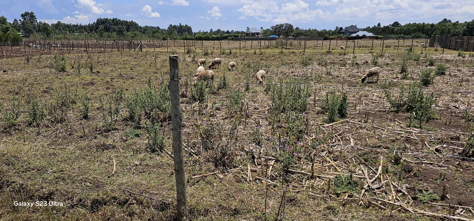 Prime Plot for Sale in Royalton Annex Eldoret