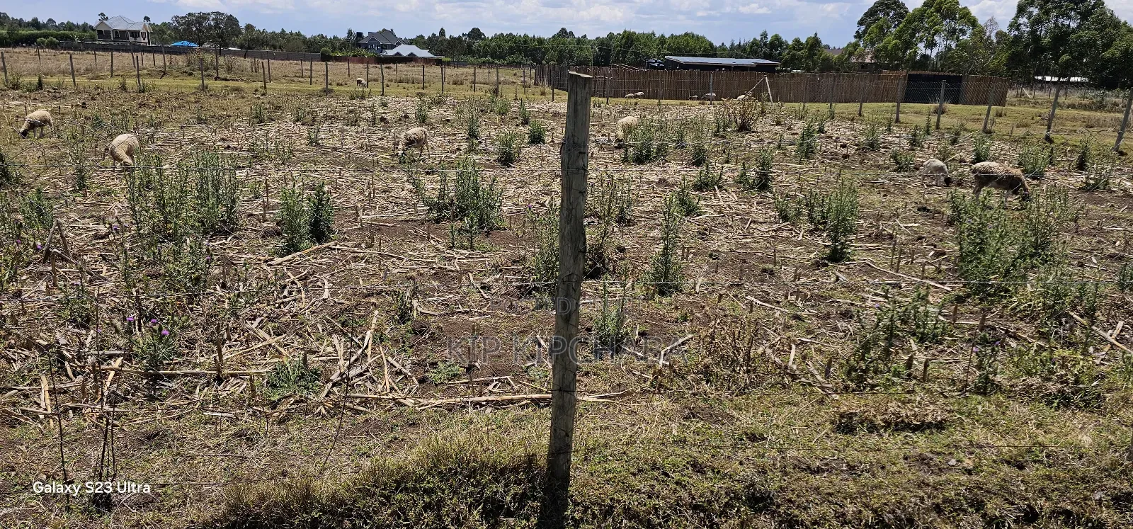 Prime Plot for Sale in Royalton Annex Eldoret
