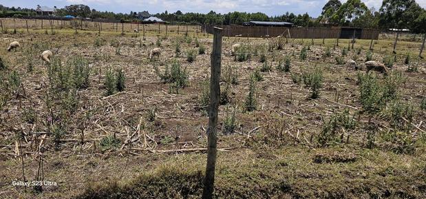 Prime Plot for Sale in Royalton Annex Eldoret - thumbnail 11