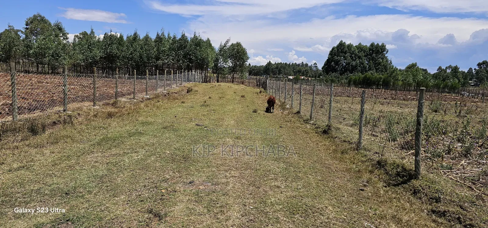 Prime Plot for Sale in Royalton Annex Eldoret
