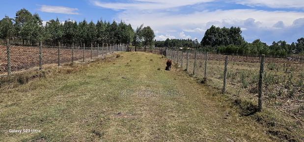 Prime Plot for Sale in Royalton Annex Eldoret - thumbnail 12