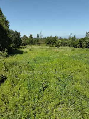 Land 1 Acre In Nanyuki Bantu Resort Area