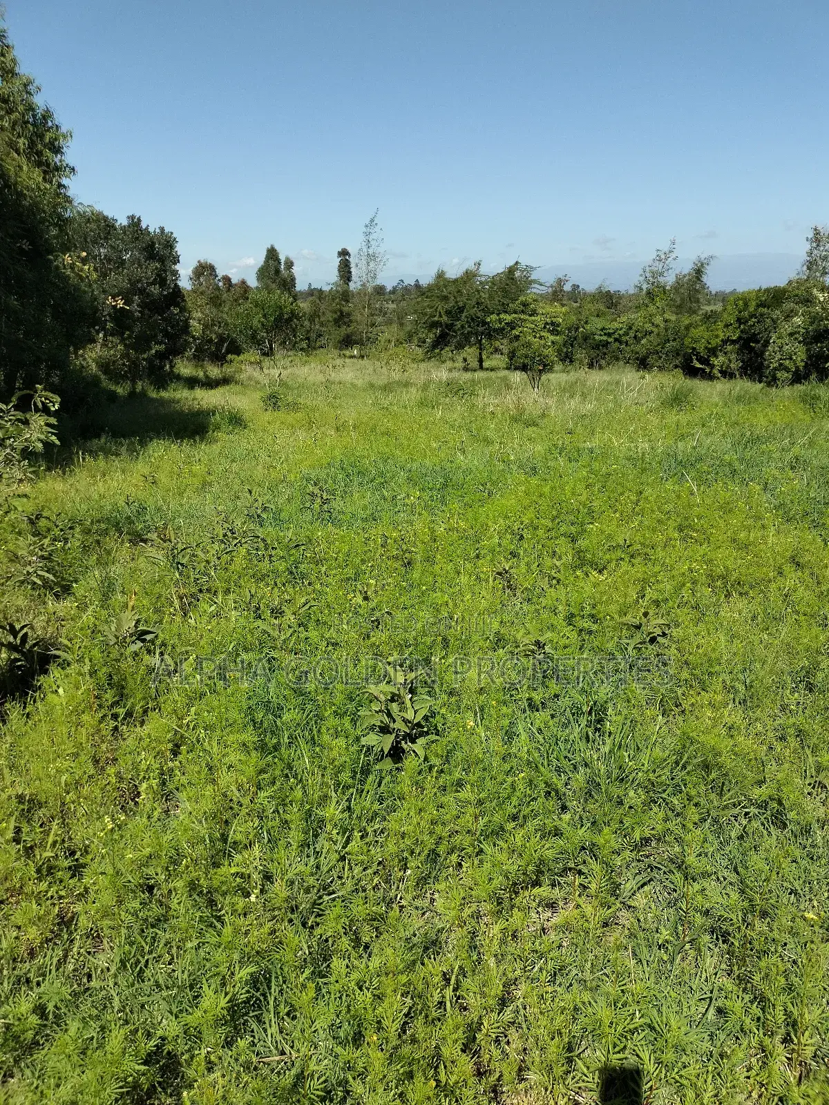Land 1 Acre In Nanyuki Bantu Resort Area