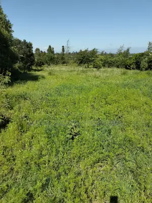 Land 1 Acre In Nanyuki Bantu Resort Area