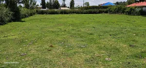 Commercial Plots for Sale Blossom Eldoret Elgonview Border