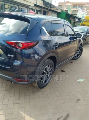 Car Tinting Service(Windows Only)