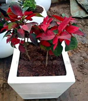 Fibre Flower Pot