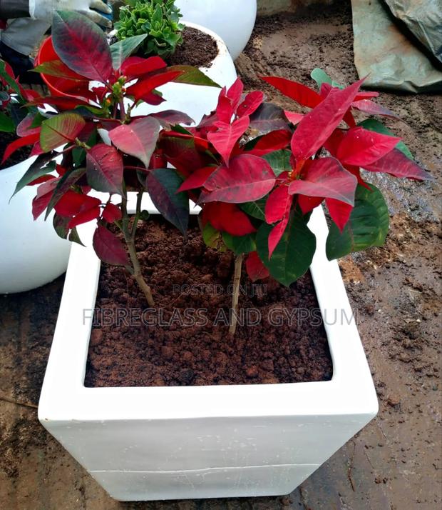 Fibre Flower Pot