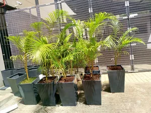 Fibre Flower Pots (Milano Pyramid)