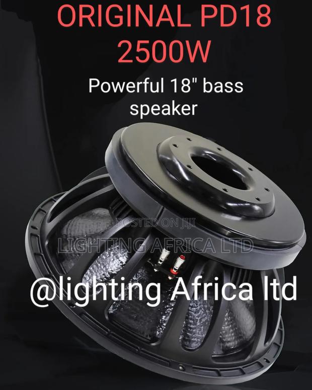 Pd18 Original 18" Naked Bass Speaker With Double Coil