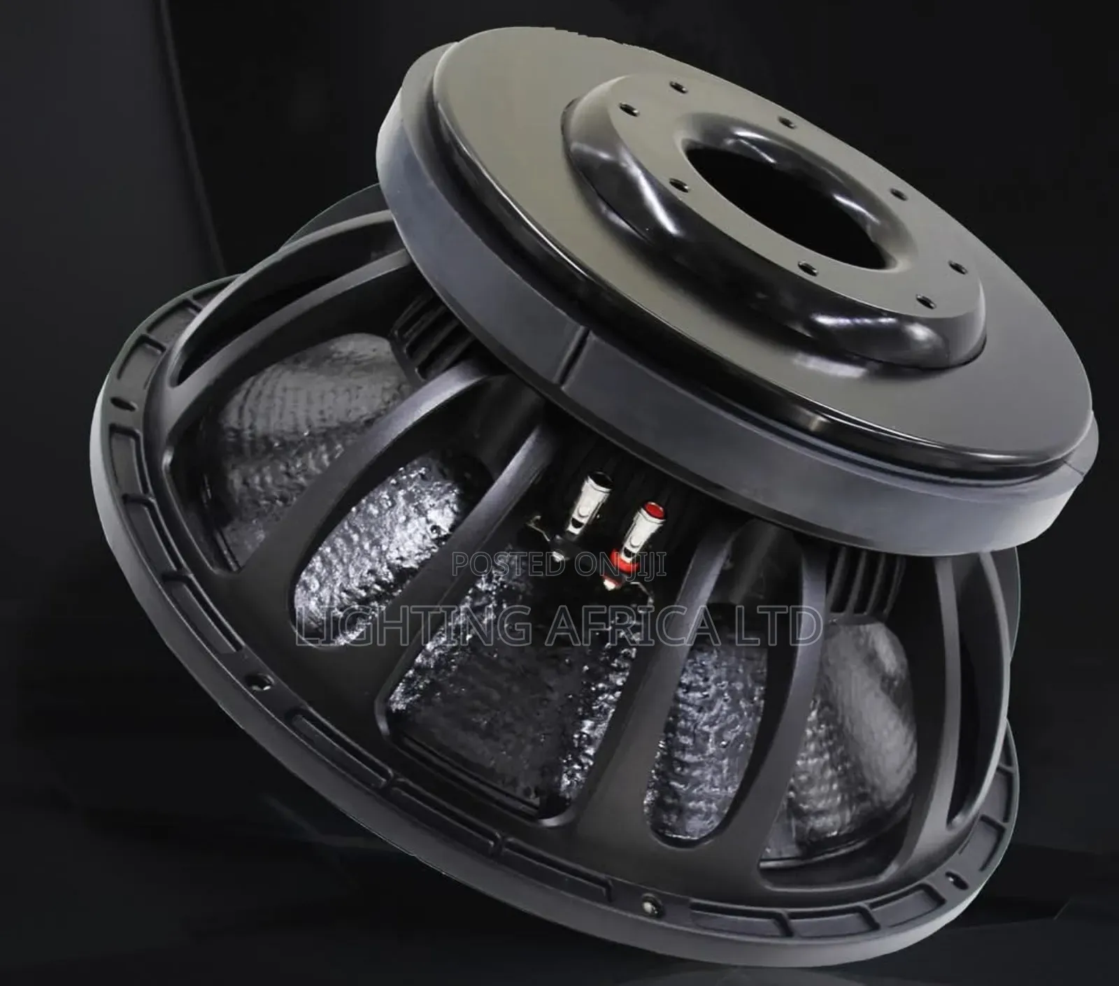 Pd18 Original 18" Naked Bass Speaker With Double Coil