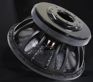Pd18 Original 18" Naked Bass Speaker With Double Coil