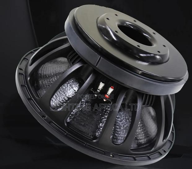Pd18 Original 18" Naked Bass Speaker With Double Coil - thumbnail 2