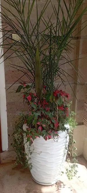 Fibre Flower Pots (Maggie Fibre Pots)