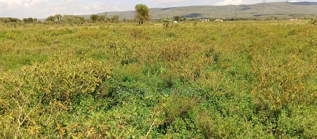 Plot for Sale - main view