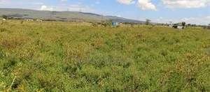 Plot for Sale