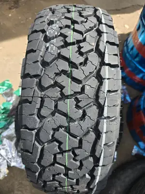 205/65r15 Roadcruza Ra1100