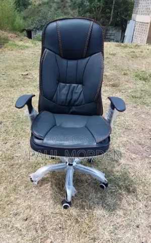 Ergonomic Executive Computer Chair