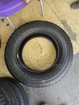 225/70r17 Dunlop Japan