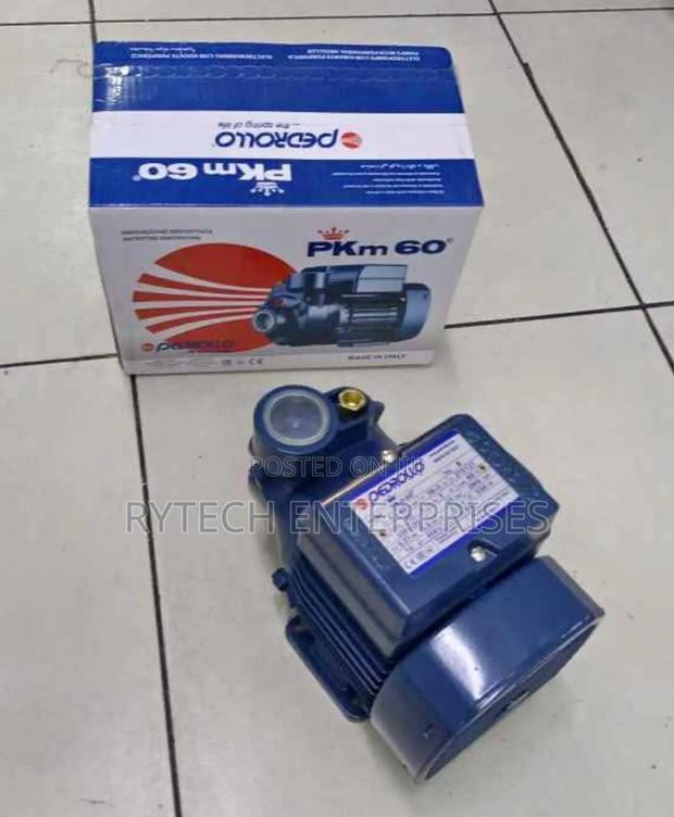 Pedrollo Electric Water Pump (0.5hp)