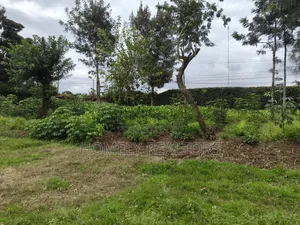 Quarter Acre Plot in Ngong, Kerarapon Drive Touching Tarmac