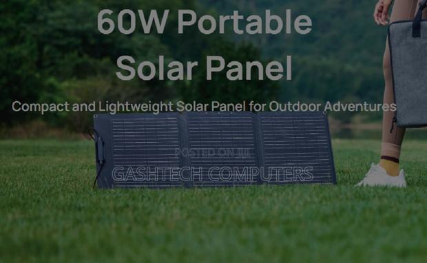 Portable 60w Ecoflow Solar Panel - main view