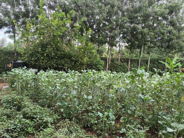 Quarter Acre Plot in Ngong, Kerarapon Drive Touching Tarmac - thumbnail 3