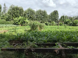 Quarter Acre Plot in Ngong, Kerarapon Drive Touching Tarmac