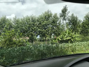 Quarter Acre Plot in Ngong, Kerarapon Drive Touching Tarmac