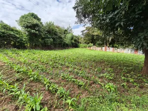 Quarter Acreplot in Kerarapon Drive, Ngong. Fertile Red Soil