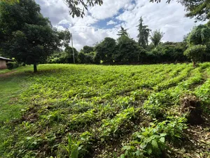 Quarter Acreplot in Kerarapon Drive, Ngong. Fertile Red Soil