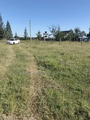 Land 1/2 Acre in Nalanya Estate Nanyuki