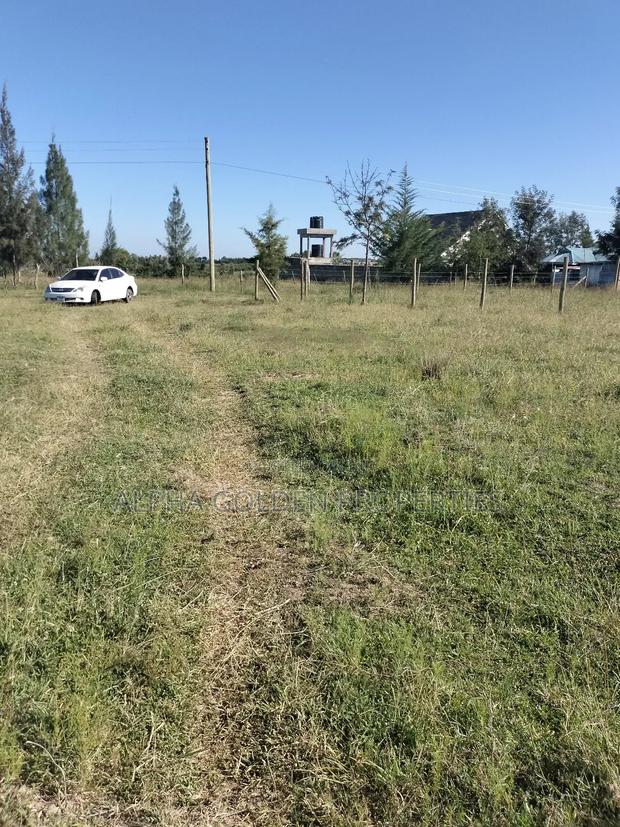 Land 1/2 Acre in Nalanya Estate Nanyuki