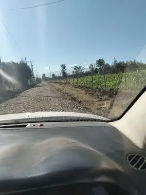Land 1/2 Acre in Nalanya Estate Nanyuki