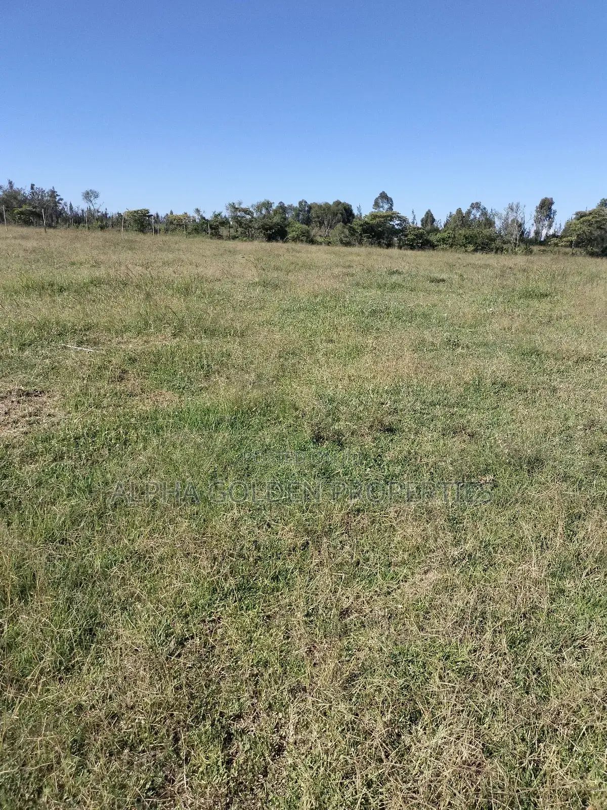 Land 1/2 Acre in Nalanya Estate Nanyuki
