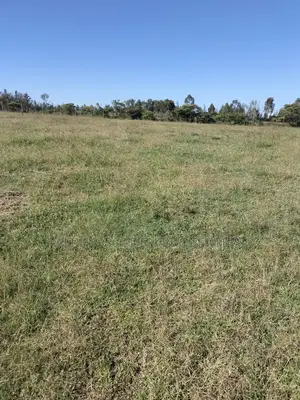 Land 1/2 Acre in Nalanya Estate Nanyuki