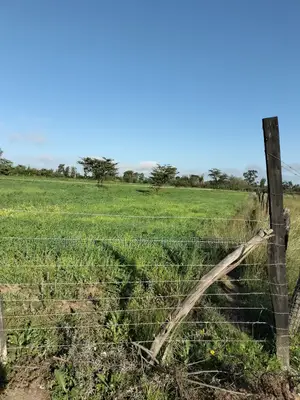 Land 5 Acres , 100 Metres From Nanyuki-Nairobi Tarmac