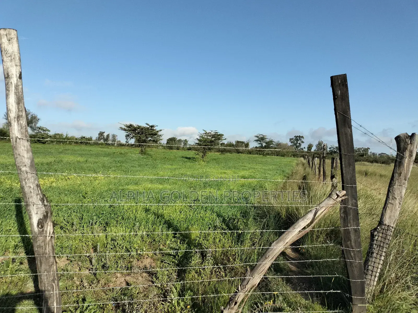 Land 5 Acres , 100 Metres From Nanyuki-Nairobi Tarmac