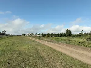 Land 5 Acres , 100 Metres From Nanyuki-Nairobi Tarmac