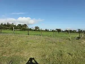 Land 5 Acres , 100 Metres From Nanyuki-Nairobi Tarmac