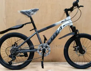 Luta Mountain Bike Size 20 Grey