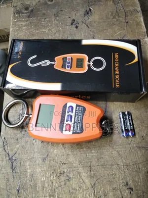 200 Kg Mini Crane / Affordable Mini Crane