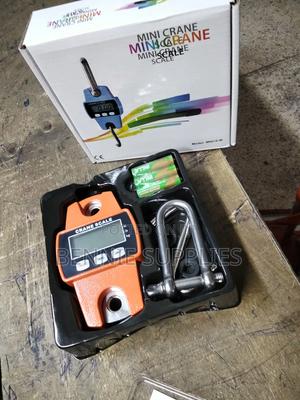 Perfect Digital Hanging Scale/ Mini Crane 300kg Scale - main view