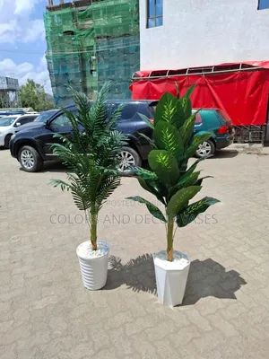 Plants 1.3m Plus Vase and Stones