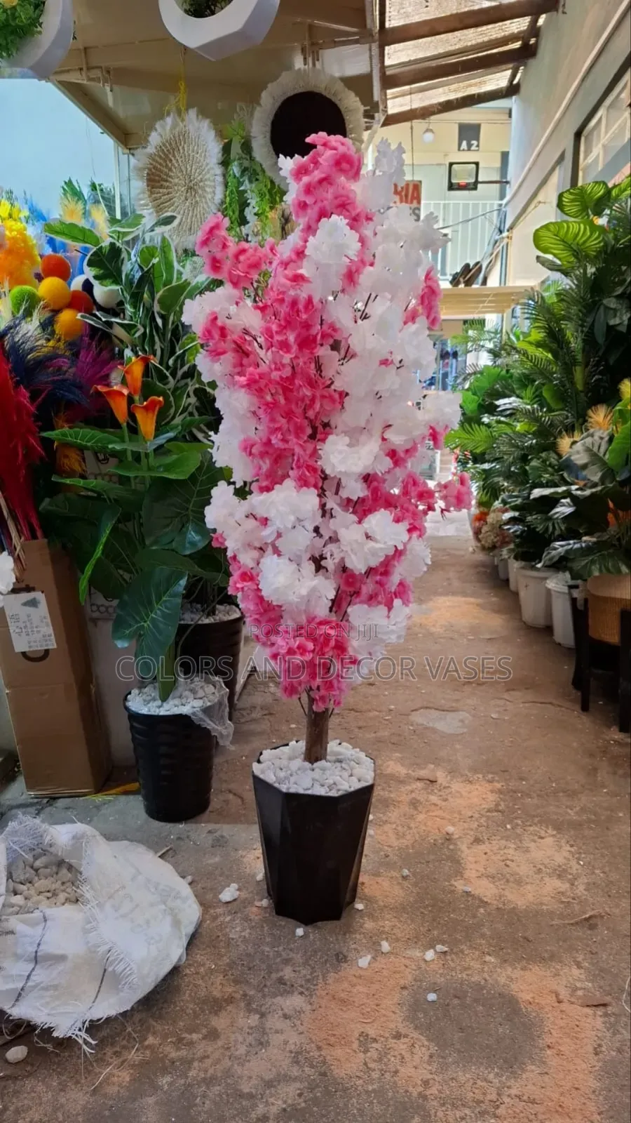 Pink and White Blossom Tree Plus Vase