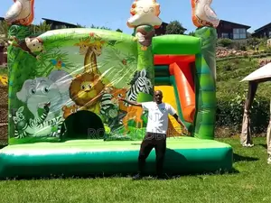 Safari Themed Bouncing Castles