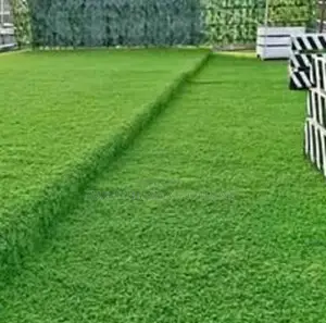 All-Season Artificial Grass Carpet at Odeon, Tsavo Road