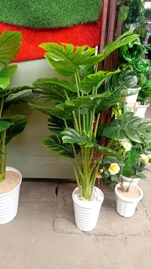 Monstera Plus Vase 1.6m Long