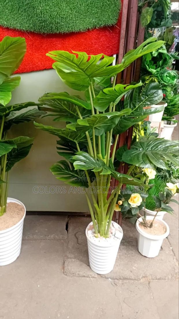 Monstera Plus Vase 1.6m Long - main view